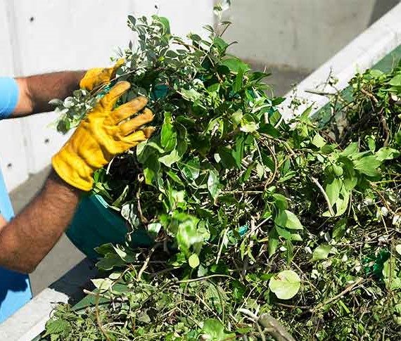 green waste month